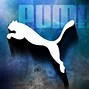 Image result for Puma Funny Logo