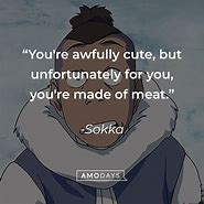 Image result for Sokka Quotes