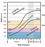 Image result for Growth Chart for Gestational Age