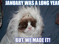 Image result for Funny Memes About January
