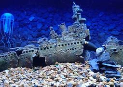Image result for Sunken Ship Fish Tank Backround