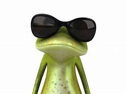 Image result for Meme Frog with Glasses