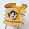 Image result for Funny Cat Dog Costume