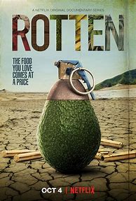Image result for Rotten Series