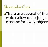 Image result for List of Monocular Cues