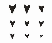 Image result for Shark Teeth Clip Art Black and White