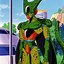 Image result for Dragon Ball Z Imperfect Cell