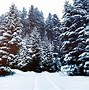 Image result for Snow Wallpaper HD