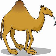 Image result for Camel Cartoon Talk Show
