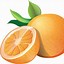 Image result for Orange Fruit Blank Background