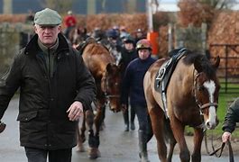 Image result for Horse Racing Trainers