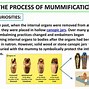 Image result for Mummification Process for Kids