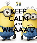 Image result for Anytime Minion