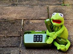 Image result for Cute Frog Phone Case