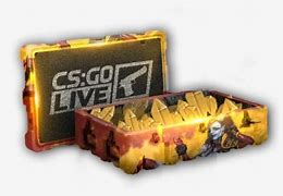 Image result for CS:GO Case Vector