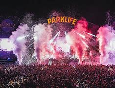 Image result for Parklife Festival Crazy