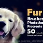 Image result for Fur Texture Brush Photoshop