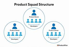 Image result for Product Management Structure Examples
