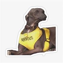 Image result for Nervous Dog Vest Meme