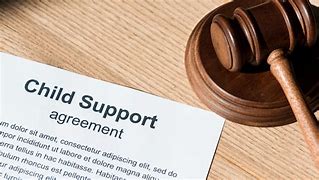 Image result for Child Support Law