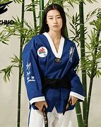 Image result for Korean Martial Arts Uniform