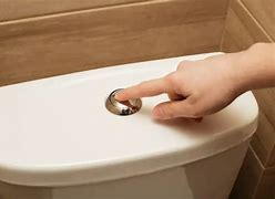 Image result for Toilet Flush Button Replacement Loo