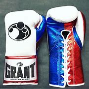 Image result for Grant Boxing Gloves