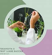 Image result for fitoterapeuta