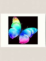 Image result for Rainbow Butterfly Art