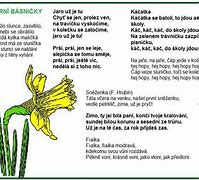 Image result for Basnicky Jarni