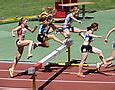 Image result for Steeplechase Athletics