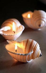 Image result for Seashell Crafts