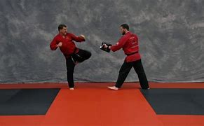 Image result for Ultimate Martial Artist