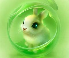 Image result for Cute Bunny Art Wallpaper