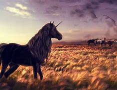 Image result for Black Horse Unicorn