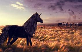 Image result for Unicorn Black Horse
