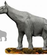 Image result for Biggest Prehistoric Mammals