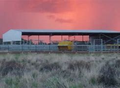 Image result for Old West Cattle Yards