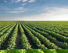 Image result for agricultira