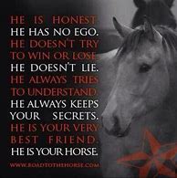 Image result for Best Horse Quotes