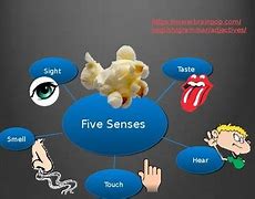 Image result for Five Senses Adjectives