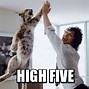 Image result for Very Nice High Five Meme