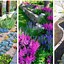 Image result for Cheap Front Yard Landscaping Ideas