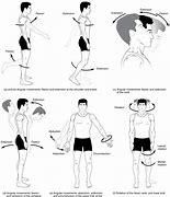 Image result for Movement vs Physical Activity