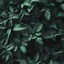 Image result for Dark Blue and Green Aesthetic