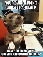 Image result for Funny Call Center Animals