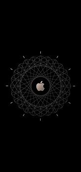 Image result for Brown Apple iPhone Wallpaper