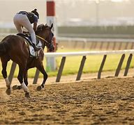 Image result for Where Is the Belmont Stakes Held