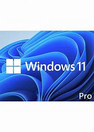 Image result for Windows 11 Pro OEM