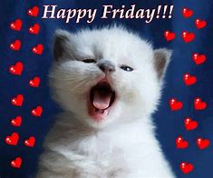 Image result for Happy Friday Cat Meme